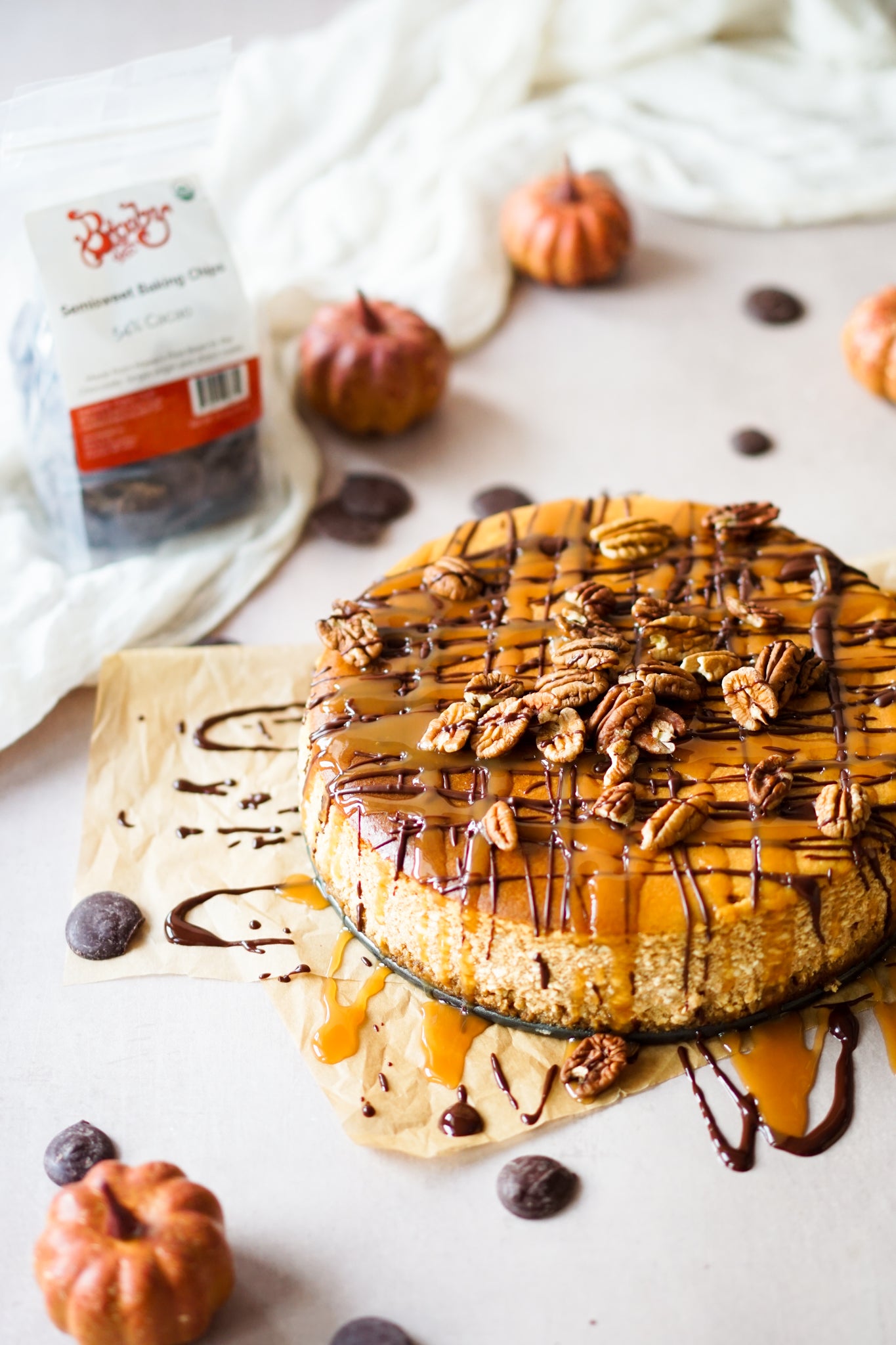 Pumpkin Turtle Cheesecake