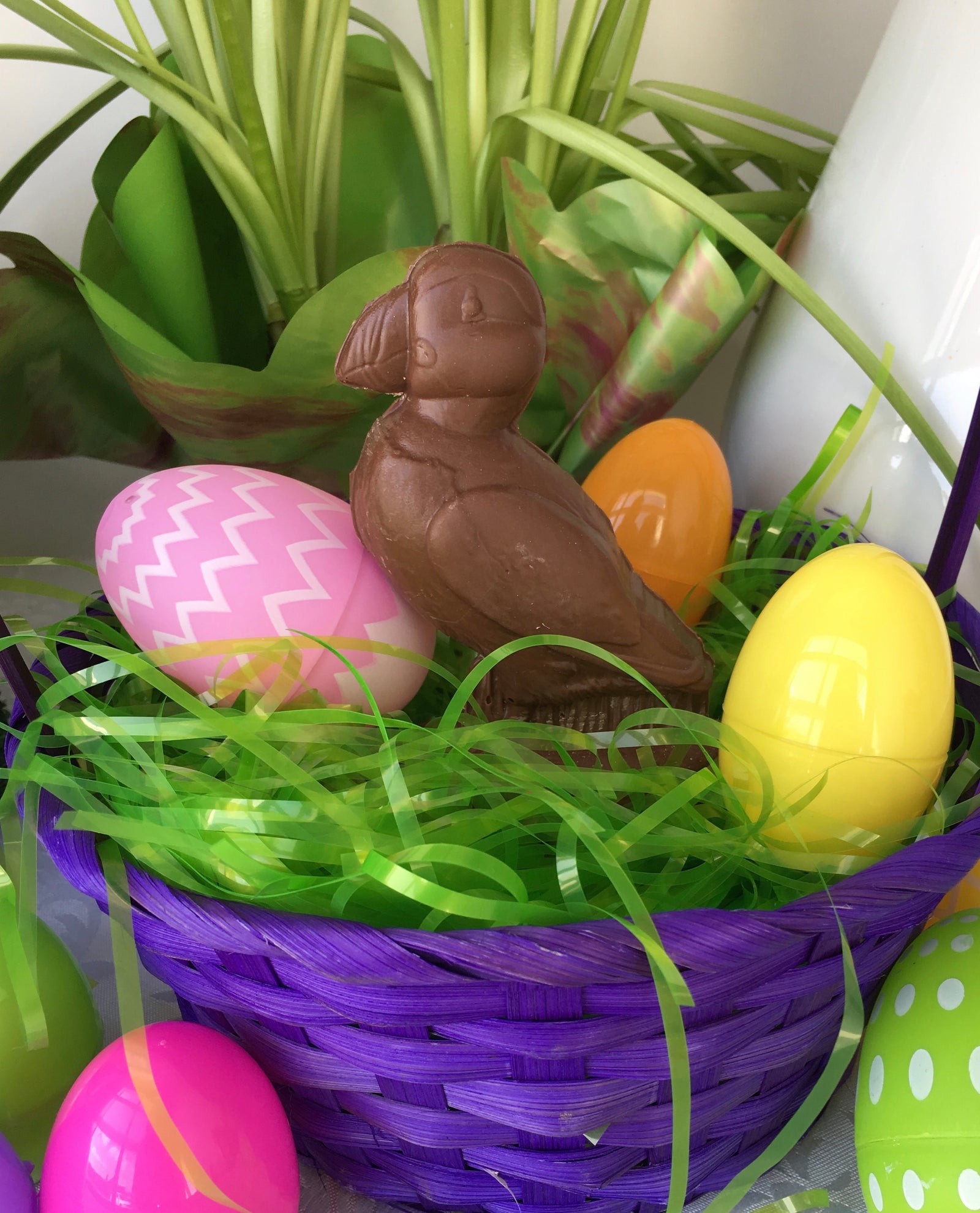 PUFFINS? YES. RABBITS? MAYBE NOT THIS EASTER...