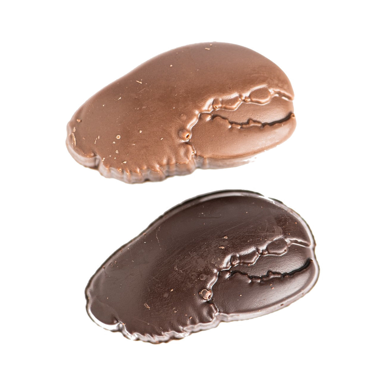 Two crab claw-shaped chocolate candies, one milk chocolate and one dark chocolate, placed side by side on a white background.