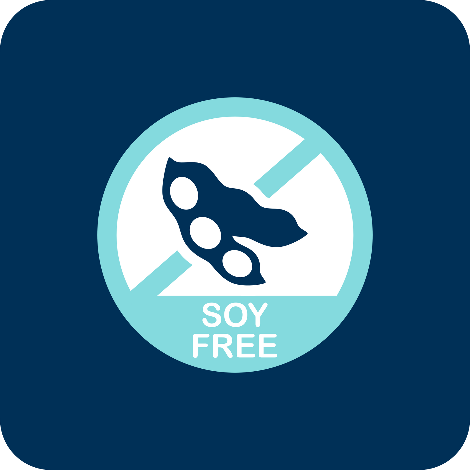 A blue and white icon with a crossed-out soybean pod and the words Soy Free indicating the absence of soy ingredients.
