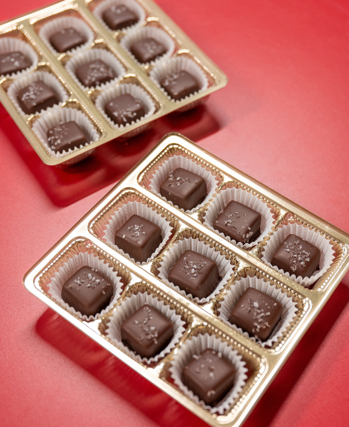 Two gold trays from the Bixby Chocolates Chocolate Sea Salted Caramels Gift Box display artisanal chocolates, each in a white paper cup and sprinkled with sea salt, arranged on a solid red surface.