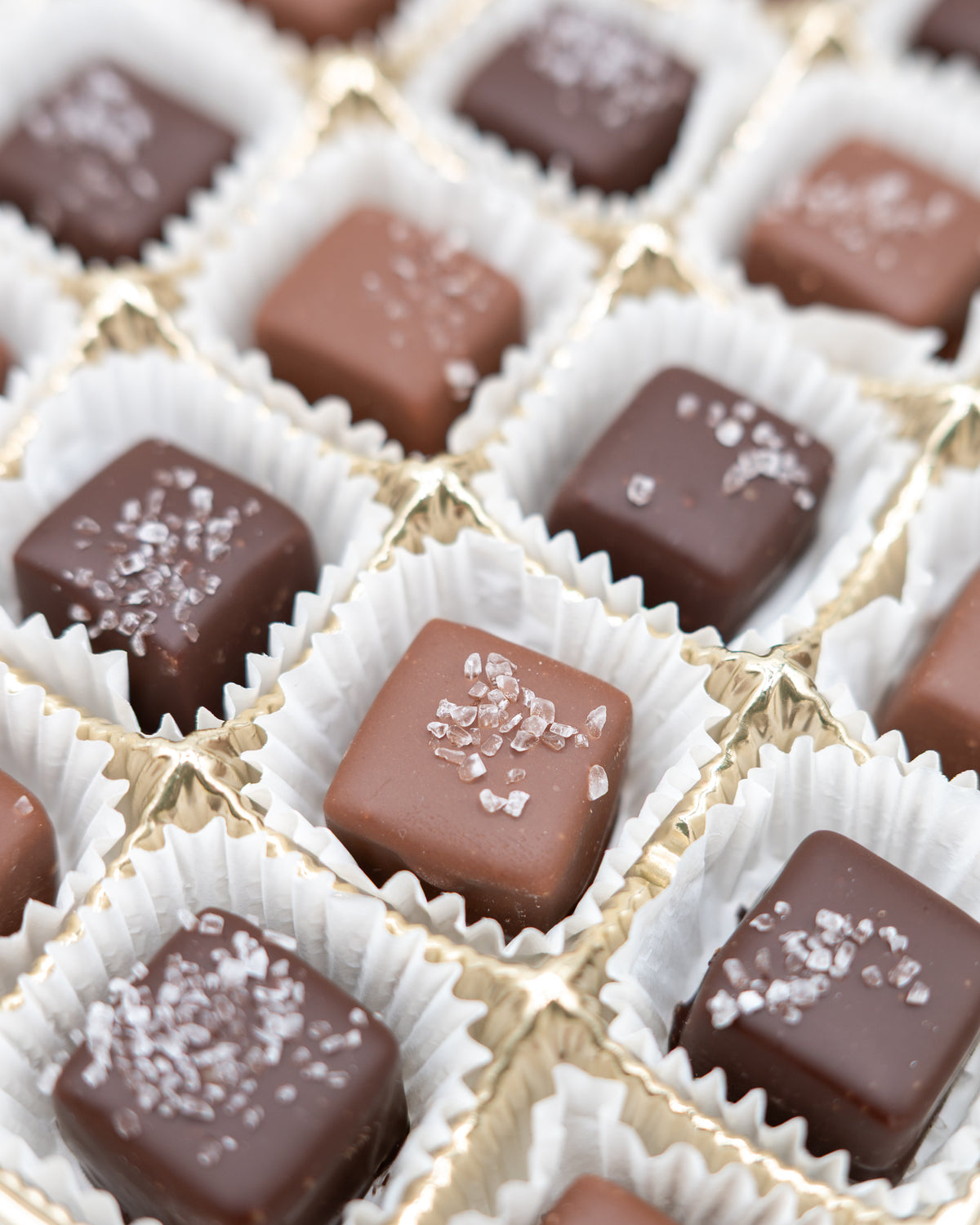 A close-up of Bixby Chocolates’ Chocolate Sea Salted Caramels Gift Box, featuring milk and dark artisanal chocolates topped with sea salt in a gold tray with white paper liners—an irresistible gift.