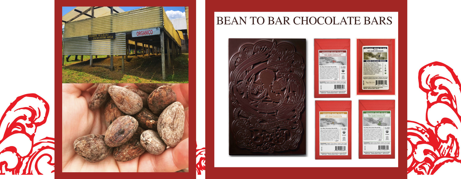 A collage showing a building labeled ORGANICO, a hand holding cacao beans, a decorative chocolate bar, and four packaged chocolate bars labeled Bean to Bar Chocolate Bars on a red background with wave patterns.