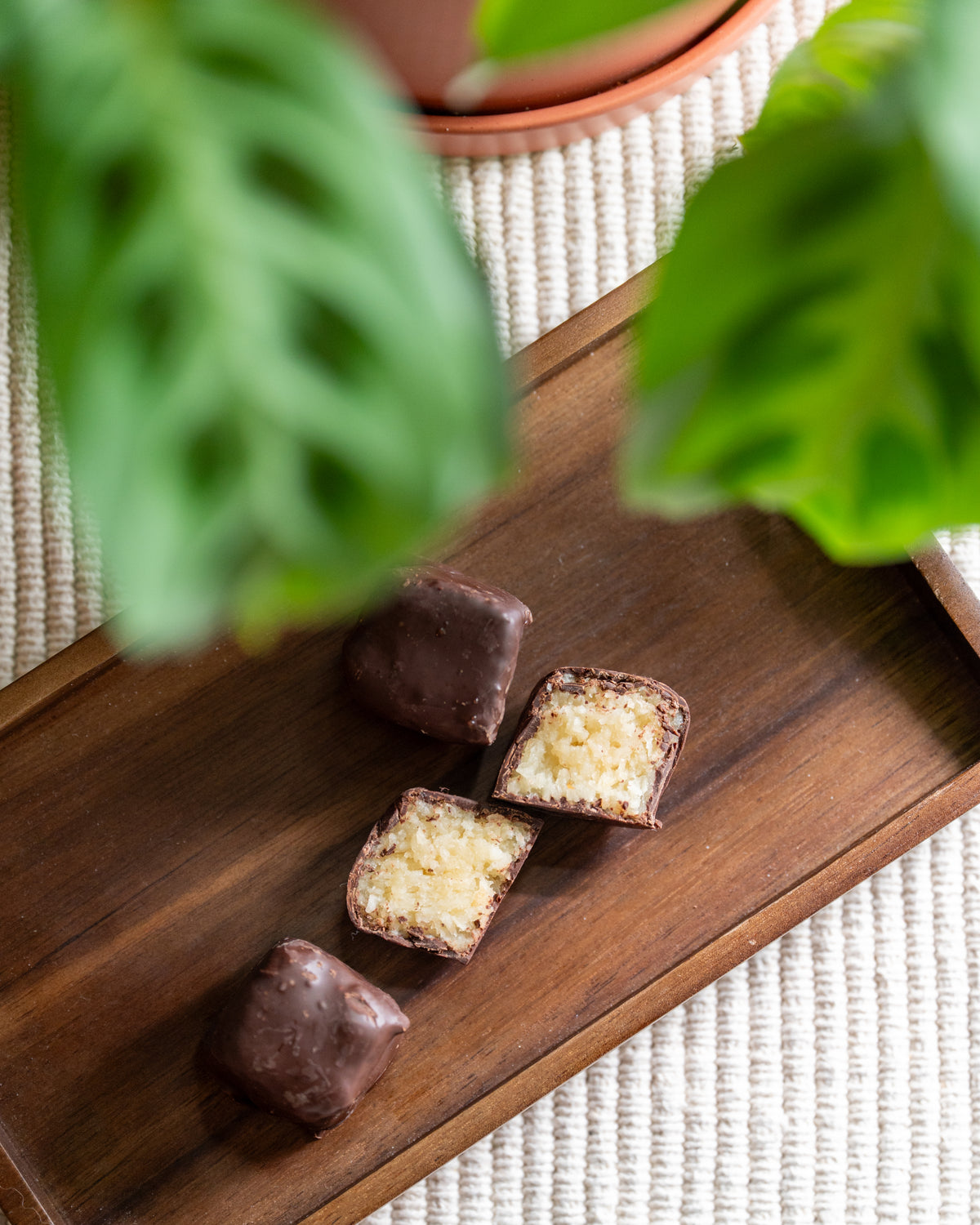 Three Bixby Chocolates Needhams, including one halved to show the creamy coconut filling, rest on a wooden tray. Green leaves partially frame these classic Maine chocolate coconut candies.
