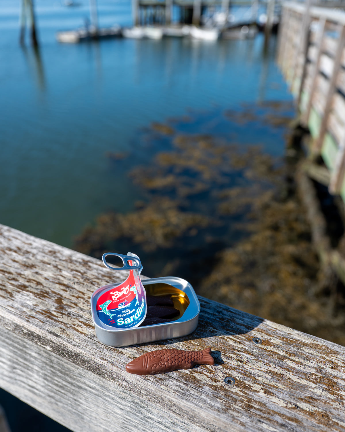 A tin of Bixby Chocolates' Chocolate Sardines and a chocolate fish sit on a wooden railing above the water, seaweed, and rustic dock in the Maine sun—a sweet local souvenir.