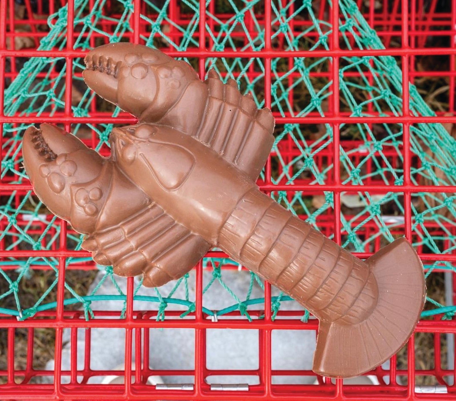 A large milk chocolate shaped like a lobster rests on a red lobster trap with green netting.
