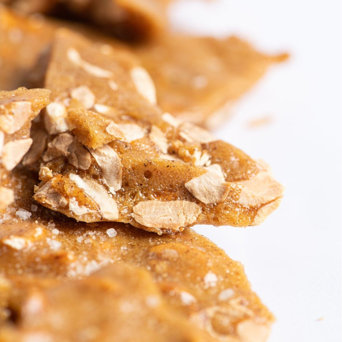 Close-up of Bixby Chocolates Allagash Beer Brittle pieces with golden brown color, nut chunks, light sugar dusting, and a touch of Maine sea salt on a white background.